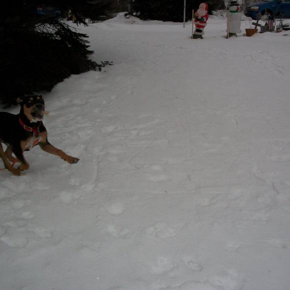 Profile Picture of Diane Dann (@biblebuzz) on Poshmark