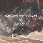 Profile Picture of Zoey And Joey Hoover (@zozo.and.jojo) on Instagram
