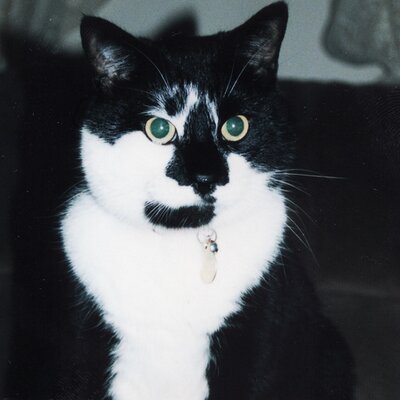 Profile Picture of Baxter Chad (@BaxterChad) on Twitter