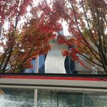 Profile Picture of Sandra Wagner (@sandra.wagner.5011) on Instagram