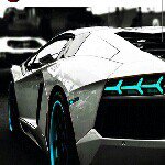 Profile Picture of leo bird (@leob12309876) on Instagram