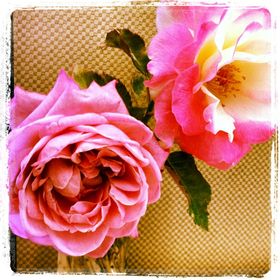 Profile Picture of sheetal joshi (@itsmecheetos) on Pinterest