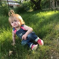 Profile Picture of Jesse Krause (@jesse-krause-3) on Quora