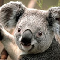 Profile Picture of Natasha Pearson (@natasha-pearson-30) on Quora