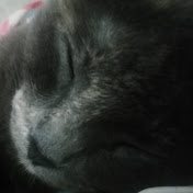 Profile Picture of Goretti Flores (@gorettiflores9540) on Youtube