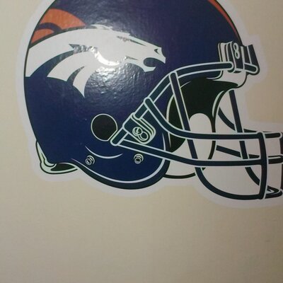Profile Picture of Nicholas DeSouza (@football4evernd) on Twitter