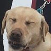 Profile Picture of Max Mansfield (@max-mansfield-6) on Quora