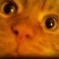 Profile Picture of Paula Bader (@paula-bader-4) on Quora
