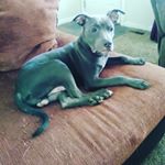 Profile Picture of Stephanie Renee (@miss.tharpe26) on Instagram