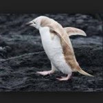 Profile Picture of Leigh Stephen (@lecoca11) on Instagram