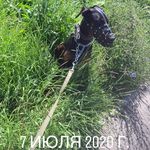 Profile Picture of Иван Минкин (@shilov3342) on Instagram