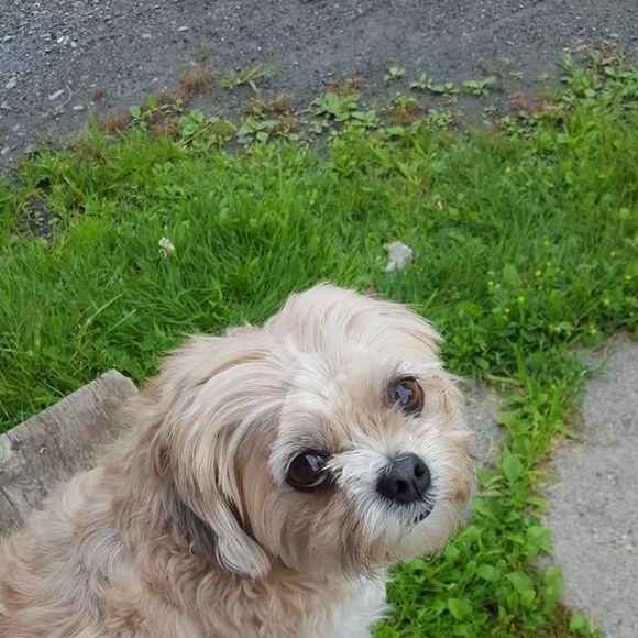 Profile Picture of Paula Hall (@poola7) on Poshmark