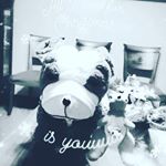 Profile Picture of Bryan Candela Madrid (@bryanpevita04) on Instagram