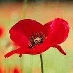 Profile Picture of Jo Duckworth (@josie8673hotmailcom) on Instagram