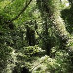 Profile Picture of David Siau (@david.siau) on Instagram