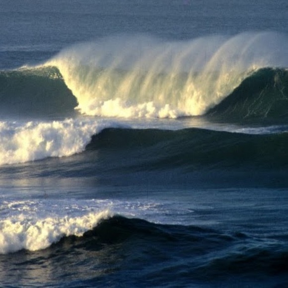 Profile Picture of Amy Benckendorf (@amybenckendorf) on Poshmark