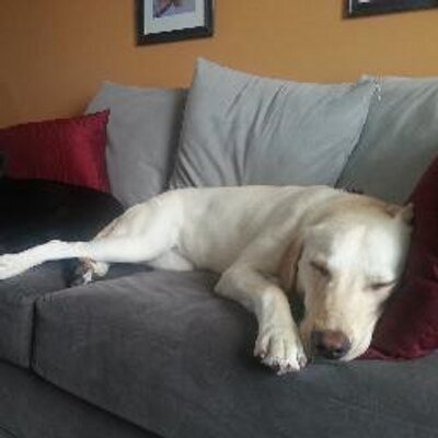 Profile Picture of Chad Wilson (@cpwilson03) on Twitter