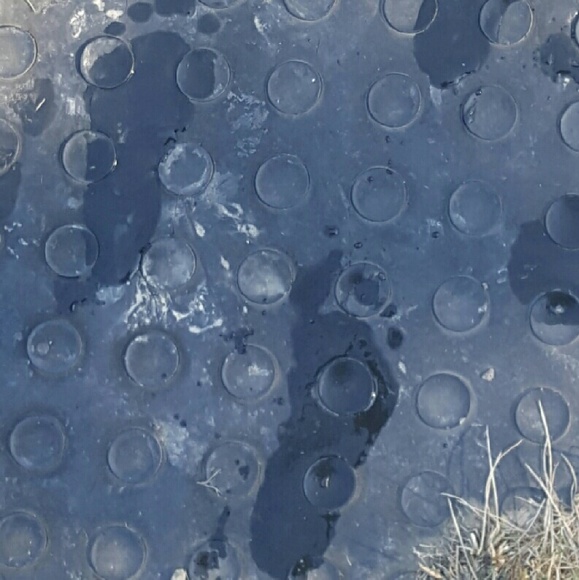 Ashley Sprankle - Poshmark Profile Picture of Ashley Sprankle (@ashleysprankle) on Poshmark