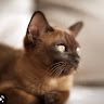 Profile Picture of Eva Markiewicz (@eva_markiewicz) on Pinterest
