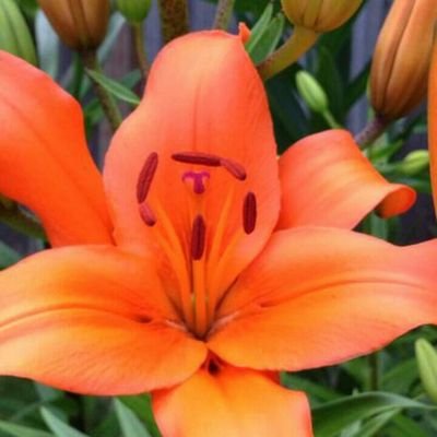 Profile Picture of Connie Stuart (@Cstuart2424My) on Twitter