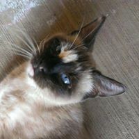 Profile Picture of Jess Crow (@jess-crow-2) on Quora