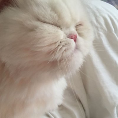 Profile Picture of Leo Anderson Mathews (@Leo_Anderson_M) on Twitter