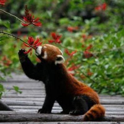 Profile Picture of Jonathan Slusher (@SorelRaven) on Twitter