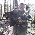 Profile Picture of Chris Pedigo (@pedigochris) on Instagram