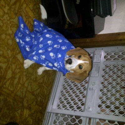 Profile Picture of Dale Devries (@doubled2388) on Twitter