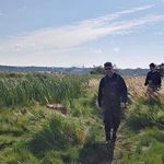 Profile Picture of William Perreault (@willperreault) on Instagram