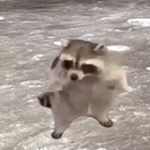 mark - Instagram Profile Picture of mark (@mark_dukess) on Instagram