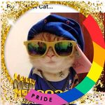Profile Picture of Robin Rosenberg Peterson (@robinrosenbergpeterson) on Instagram