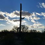 Profile Picture of Shari Scott (@sharicansee) on Instagram