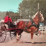 Profile Picture of Claude Thorne (@claude.thorne.2025) on Facebook