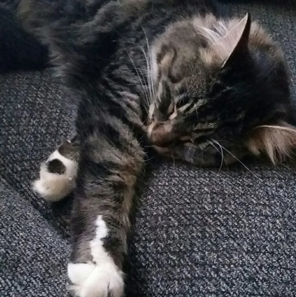 Profile Picture of Ashley Unterberg (@unterberg08) on Poshmark