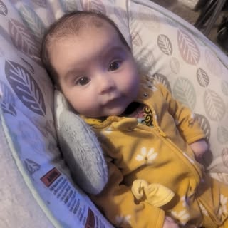 Nancy Crislip - Instagram Profile Picture of Nancy Crislip (@nancycrislip) on Instagram