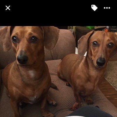 Profile Picture of Larry Coburn (@LarryCoburn9) on Twitter