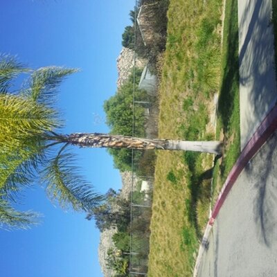 Profile Picture of John Wenger (@JohnWenger28) on Twitter