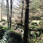 Profile Picture of HunterT (@stevenjanicki) on Instagram