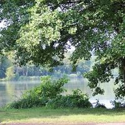 Profile Picture of  ❤️ Thomas-Figaro (@ThomaFigaro) on Twitter