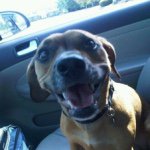 Profile Picture of Meredith Preston (@meredithpreston) on Instagram