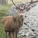 Profile Picture of Jonathan Kinnell (@joffersa) on Pinterest