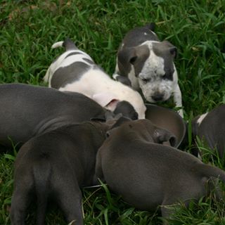 Profile Picture of James Scott (@James-Scott) on Facebook