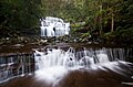 Profile Picture of Liffey River (Tasmania)on Wikipedia