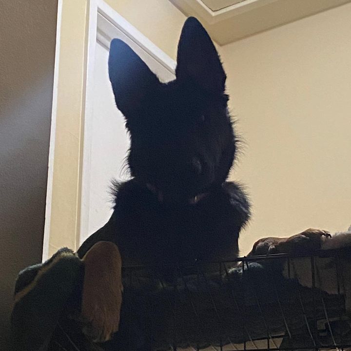 Profile Picture of Eric J Larson (@ericjlarson) on Tiktok