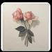 Profile Picture of Juliahazel (@juliahazel45) on Pinterest