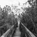 Profile Picture of Daniel Cheek (@cheek1211) on Pinterest