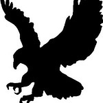 Mandy Forbis - Flickr Profile Picture of Mandy Forbis (@ms. forbis' math class) on Flickr