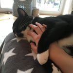 Profile Picture of Lisa Hageleit (@lisa_hglt06) on Instagram