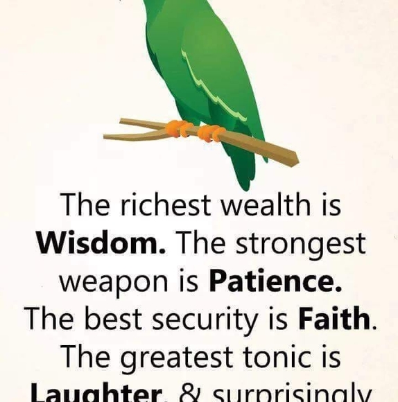 Profile Picture of Chidiebere Chidi (@nwanneya89) on Poshmark